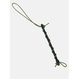 Tendisagola Salvimar