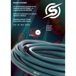 Sigal Dynamic
